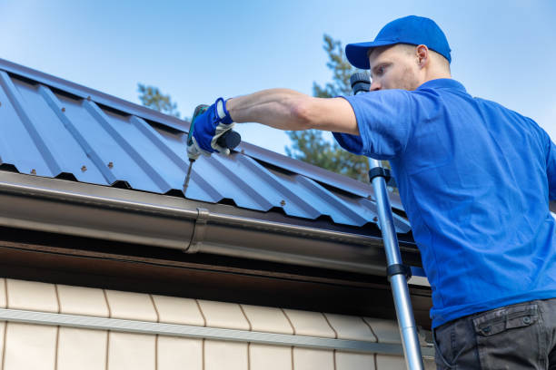 Best Roof Insulation Installation  in Elephant Butte, NM